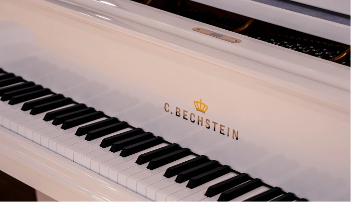 Thumbnail for Store: C. Bechstein Centrum