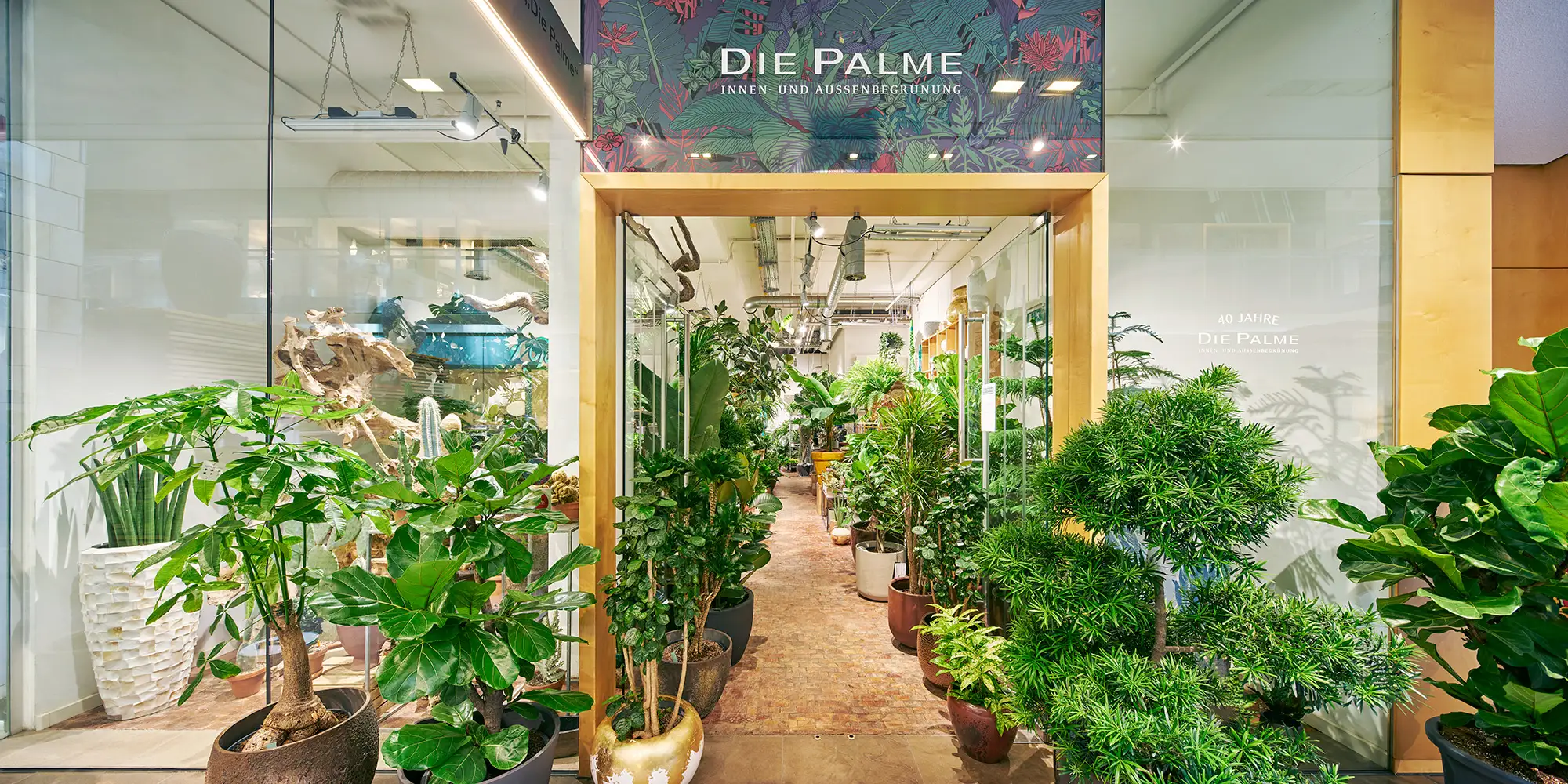 Thumbnail for Store: Die Palme | Exotic Green